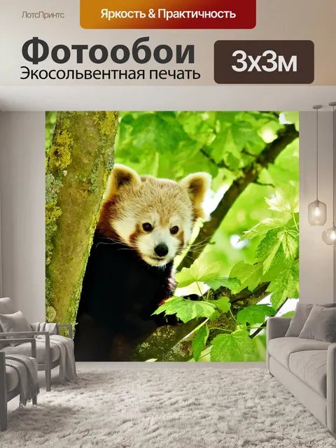 Фотообои Красная панда