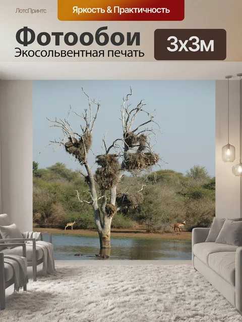 Фотообои Гнездование