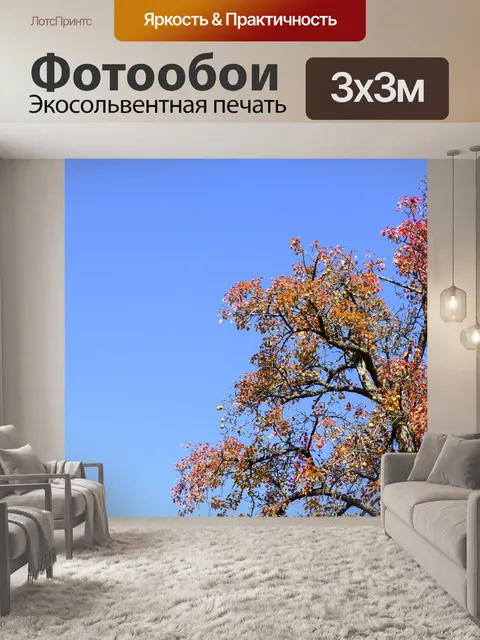 Фотообои Дерево