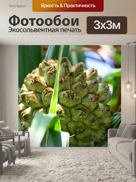 Фотообои Фрукты