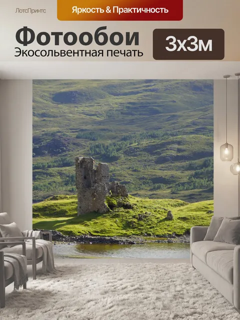 Фотообои Разорение