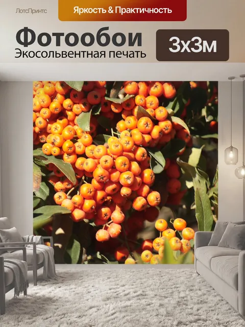 Фотообои Оранжевый кластеров Пираканта ягода