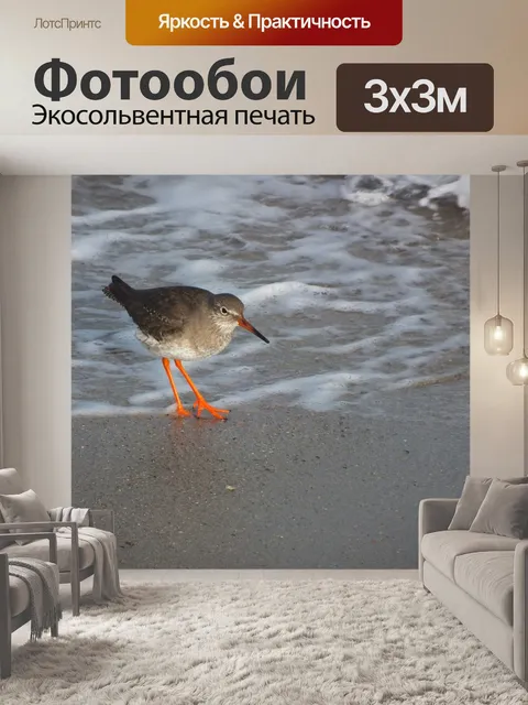 Фотообои Птицы