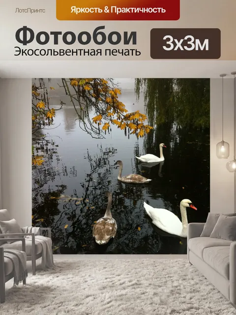 Фотообои Лебеди