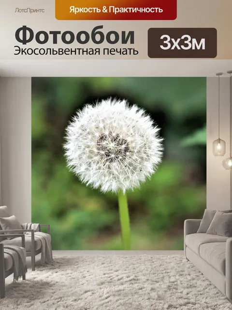 Фотообои Одуванчик