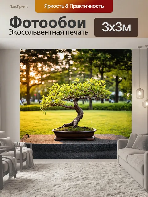 Фотообои в центре живописного парка
