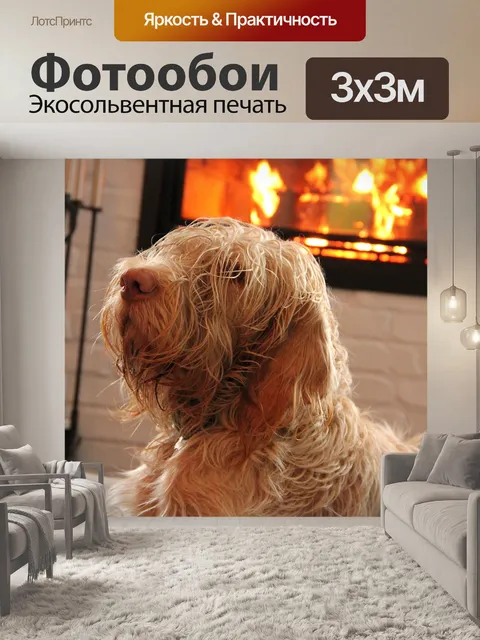 Фотообои Собака