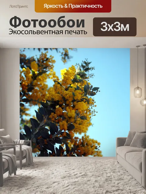 Фотообои желтый акации цветы