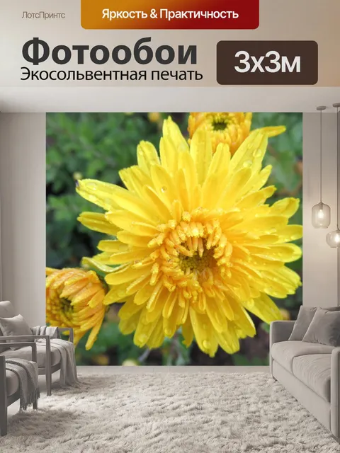 Фотообои Дождь
