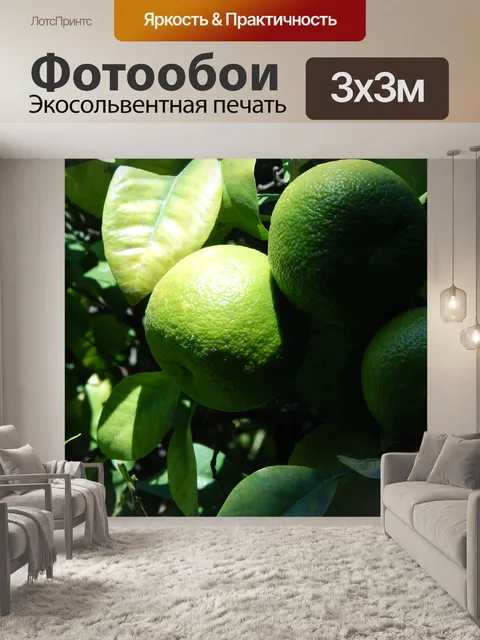 Фотообои Лимоны