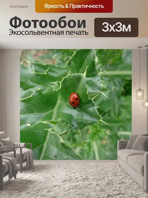 Фотообои Божья коровка в зеленых листьях