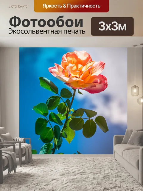 Фотообои Роза