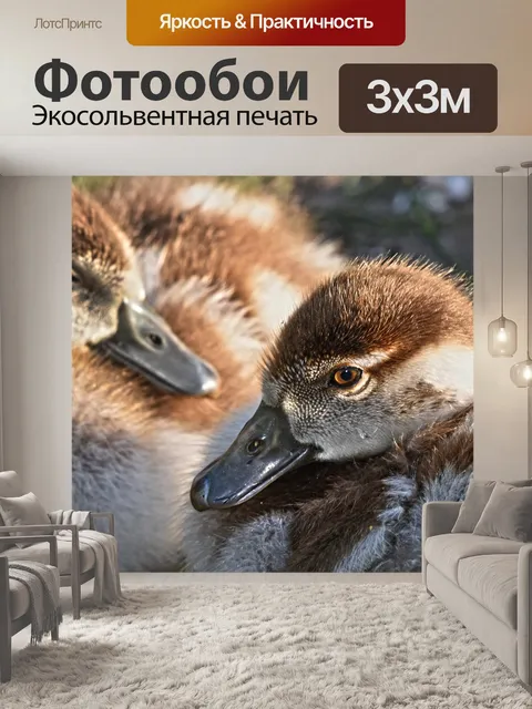 Фотообои Нил гусь