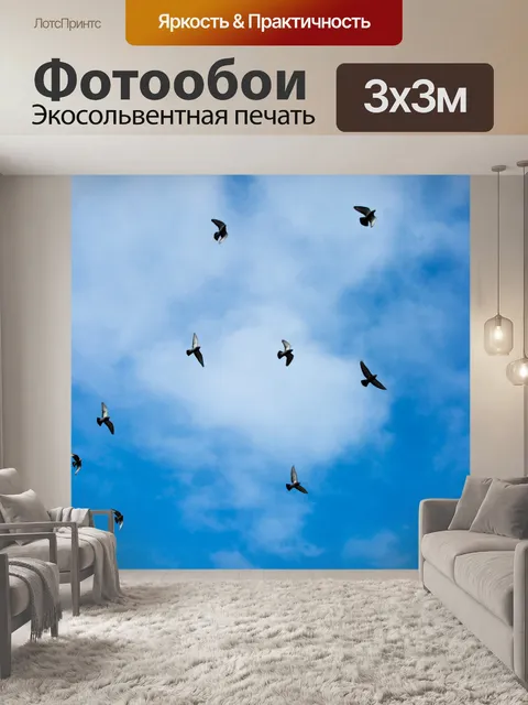 Фотообои Птицы летают