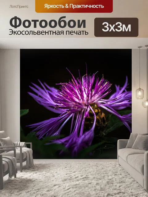 Фотообои Василек