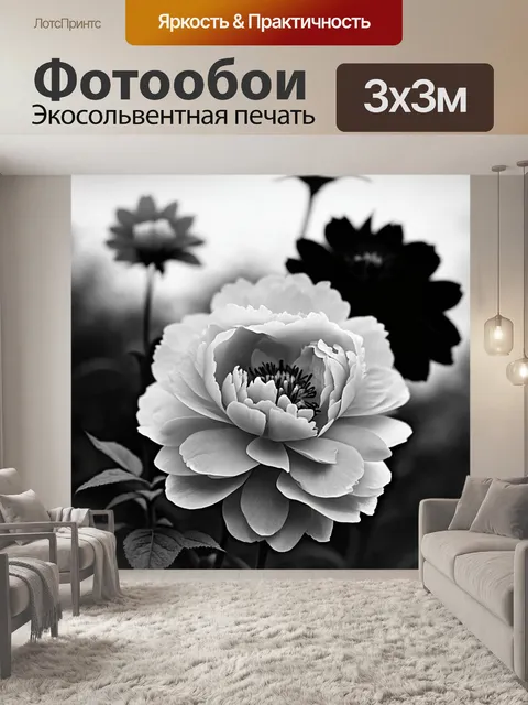 Фотообои пионы в черно-белом стиле