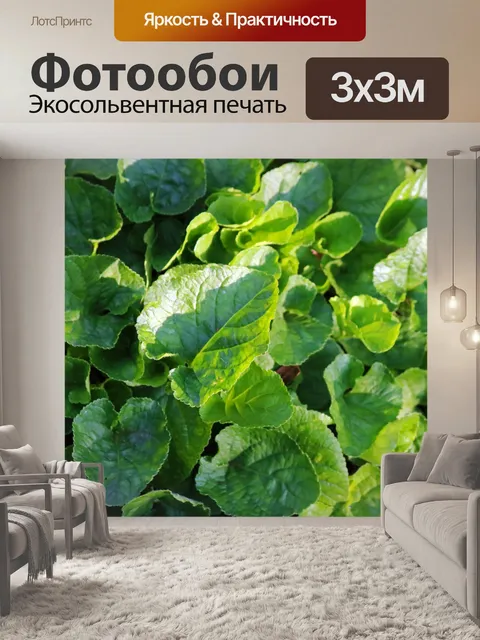 Фотообои солнечный свет на листьях фиолетовых рас