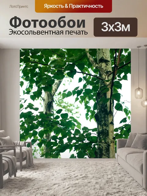 Фотообои Береза