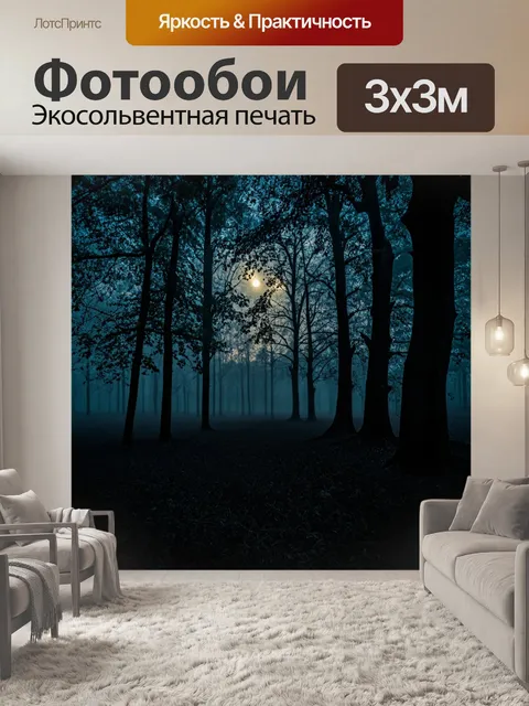 Фотообои черный лес в вечернее время