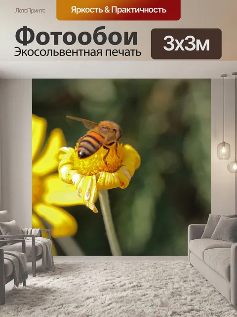 Фотообои медоносная пчела на желтом цветке