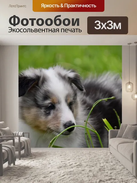 Фотообои Щенок