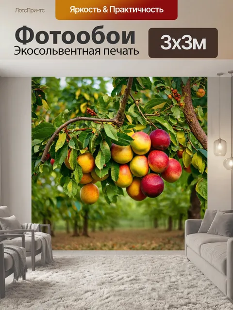 Фотообои лес с обилием фруктов, готовых к сбору