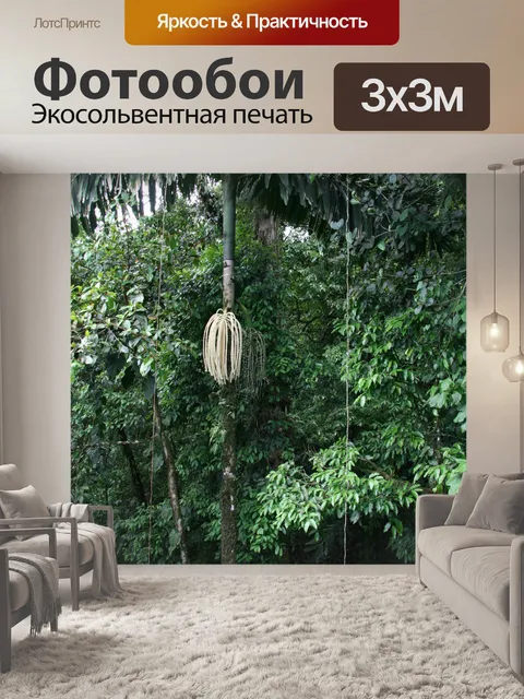 Фотообои Коста-Рика Дерево Pod
