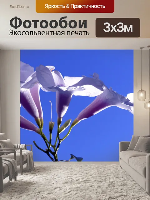 Фотообои Яркие синий фон цветы