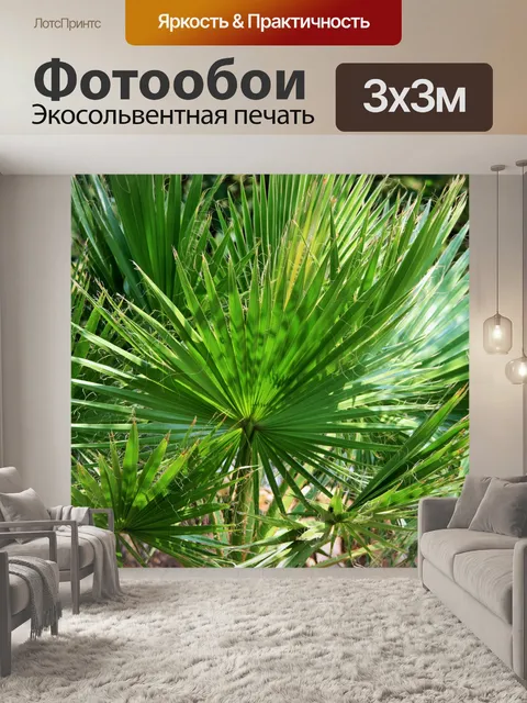 Фотообои Кластер вентилятора пальмовых листьев