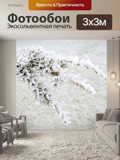 Фотообои Филиал Зимний сосновый