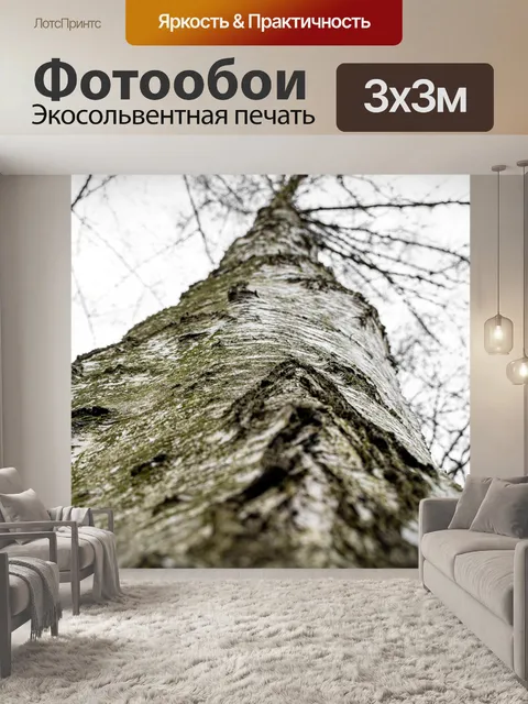Фотообои Береза