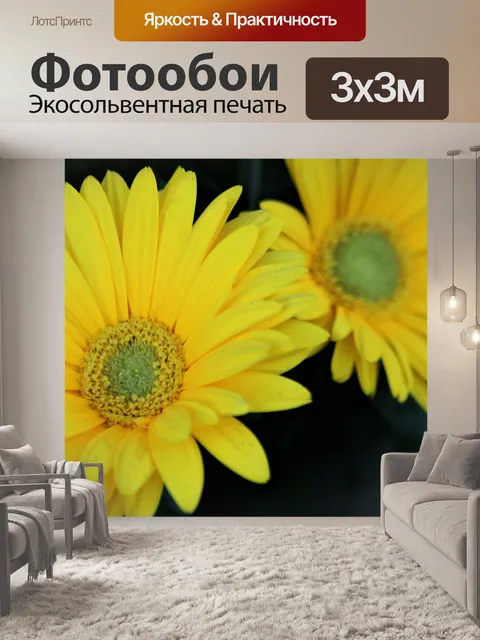 Фотообои Желтая Гербер Дейзи крупным планом