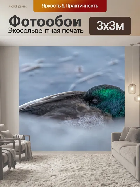 Фотообои Спать