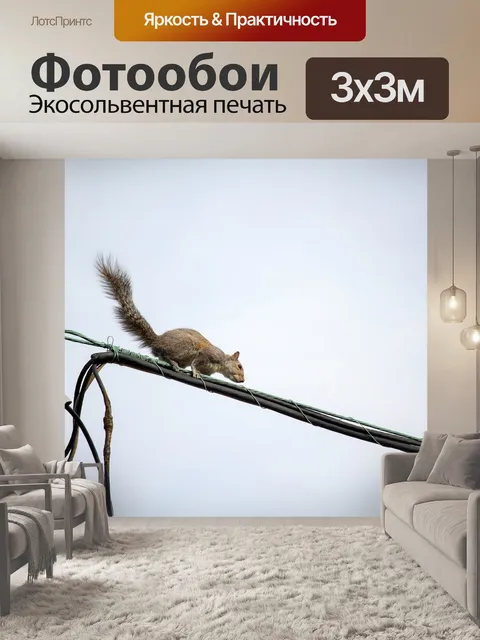 Фотообои Птица
