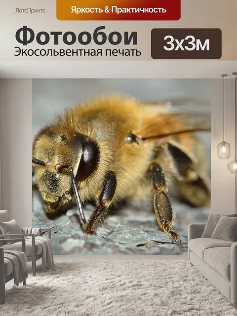 Фотообои Насекомые