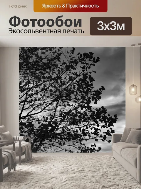 Фотообои Дерево Силуэт