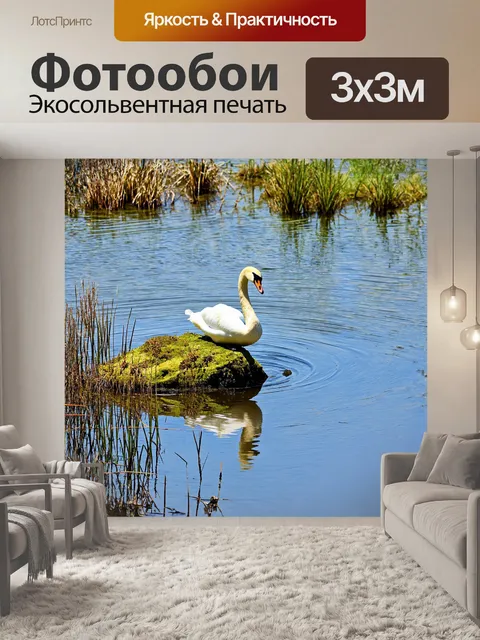 Фотообои лебедь, сидящий на большом камне, окаймленном мхом, внимательно смотрит на отражение своего облика в…
