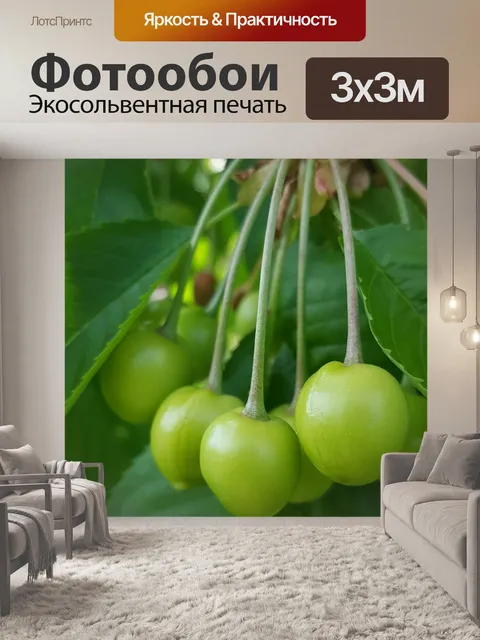 Фотообои Фрукты