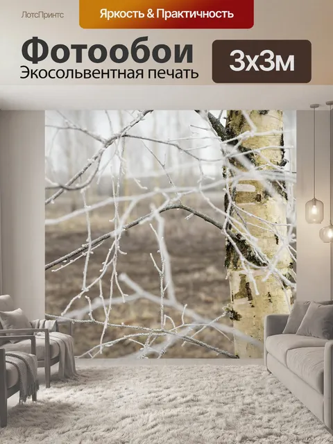 Фотообои Береза