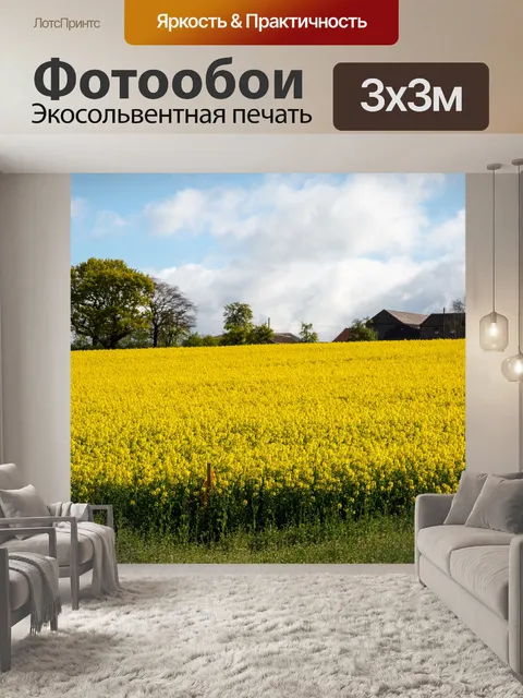 Фотообои Область желтого рапса