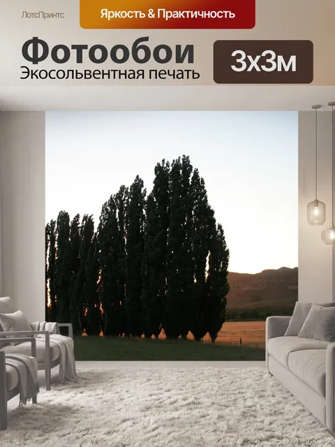 Фотообои Ломбарди тополей, свободное состояние