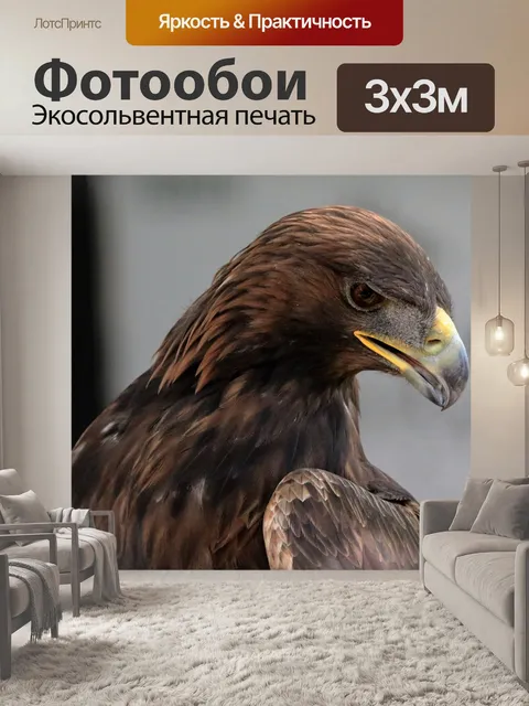 Фотообои Золотой орёл