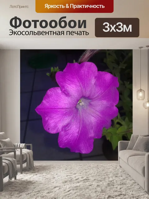 Фотообои Фиолетовый Петуния