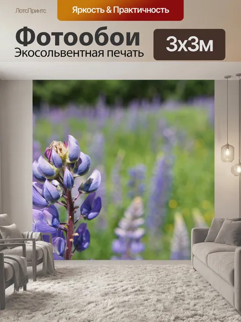Фотообои Люпин