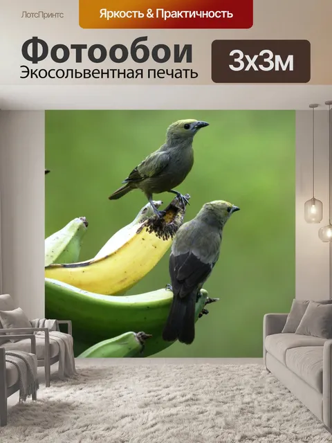 Фотообои Пейзаж