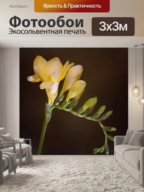 Фотообои Цветок