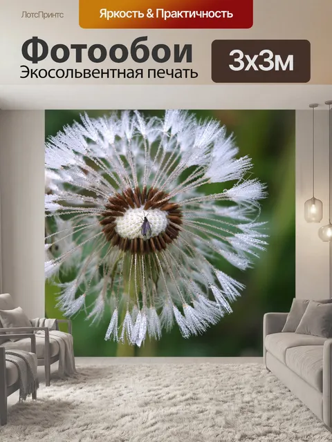 Фотообои Одуванчик