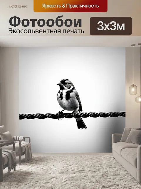 Фотообои животные в стиле черно-белый: воробей, сидящий на проводе, с легким ветерком, подчеркивающим его перья