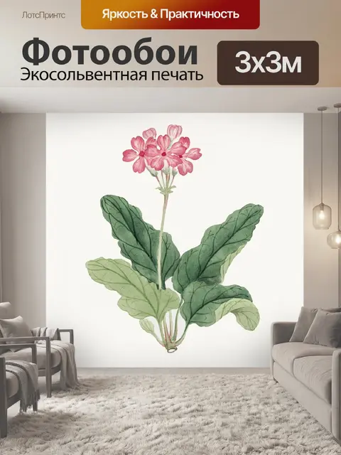 Фотообои Винтажная иллюстрация розового цветка