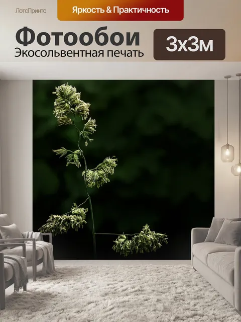 Фотообои Цветы